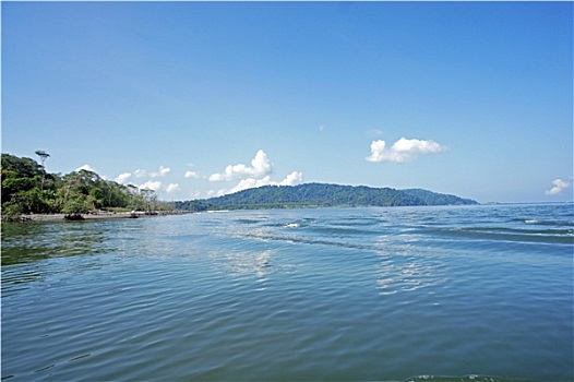 xsmn chu nhat du doan
