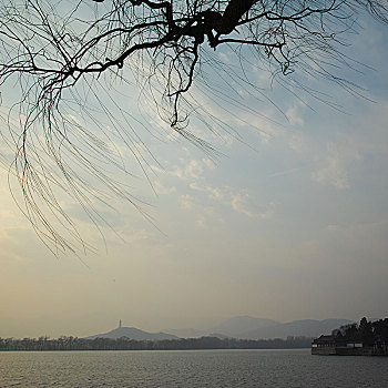cầu bạch thủ lô hôm nay